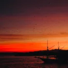 Pulau Kalong Boat Rental Bajo