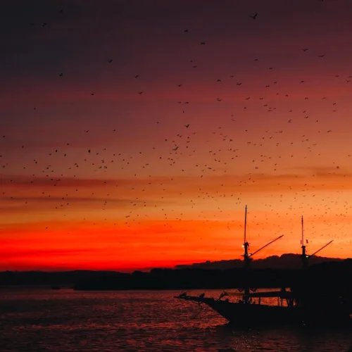 Pulau Kalong Boat Rental Bajo