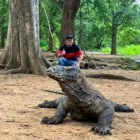 Komodo National Park Boat Tour
