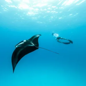 Yacht Charter Bali
