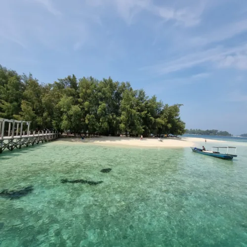 Paket Wisata Dolphni Jakarta