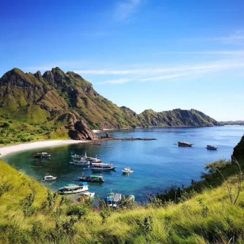 Rinca Island Yacht Charter Labuan Bajo