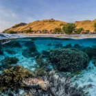 Pulau Sebayur Komodo Labuan Bajo