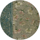 Shifa' Syaugi profile picture