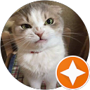 rapidFontan profile picture